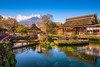 【暑假】<日本世界遗产富士山五合目、大石公园、忍野八海、湘南海岸车游、日式茶道体验双古都芝樱六日全景游>可选东京1天自由活动 商品缩略图4