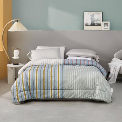 水星家纺吸湿速暖发热·负离子净醛·澳洲进口三层羊毛抗菌冬厚被 商品图0