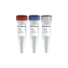 Single Cell Sequence Specific Amplification Kit