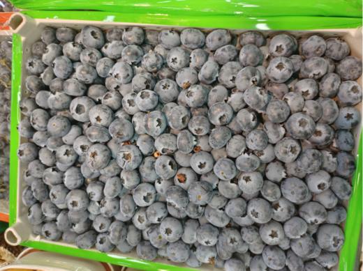 巨无霸散蓝莓半斤 商品图0