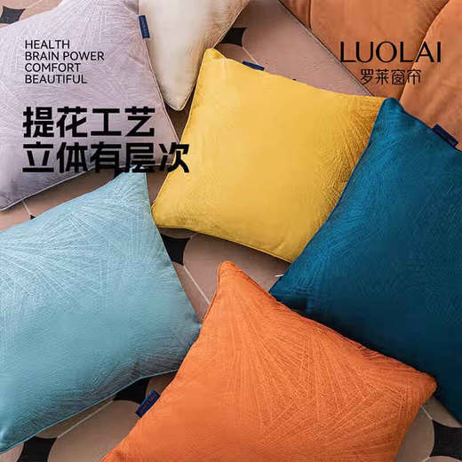 罗莱软装-流星抱枕  45*45 商品图1