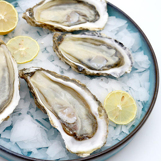 生蚝【自提】 商品图0