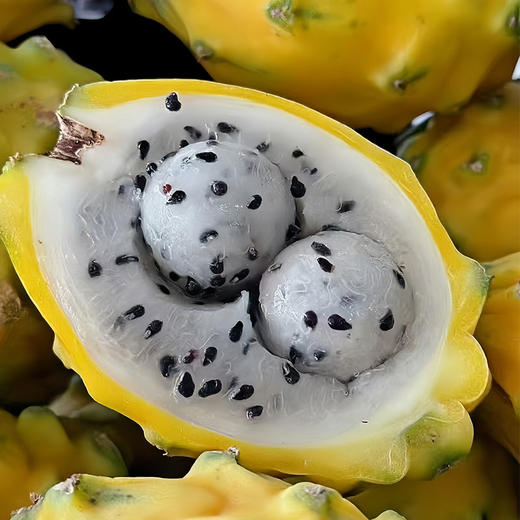 【519直播】海南黄金燕窝果-2斤礼盒3-4两(5-7个) 商品图2