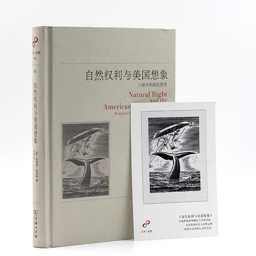 自然权利与美国想象：小说中的政治哲学(文学与思想译丛) 商品图2