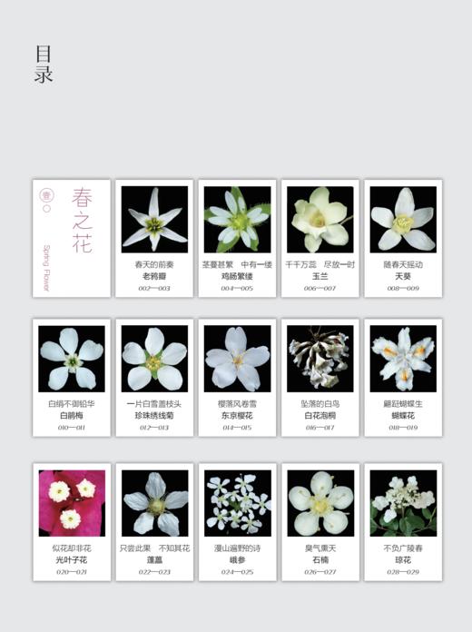 《如何观察身边的花：有趣的植物解剖图鉴》 商品图3