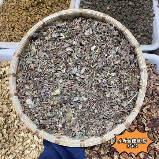 金钱草 常用规格 广金钱草 大叶金钱草 商品图2