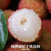 海南 妃子笑鲜荔枝 不泡水的干荔枝，孩子放心吃 商品缩略图4