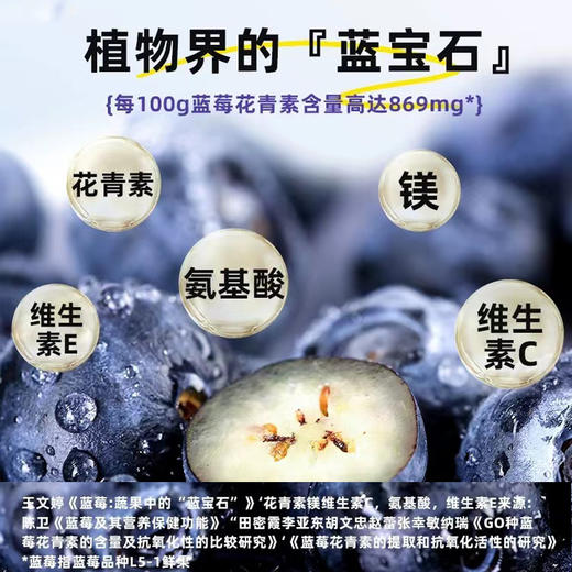 臻桦有机蓝莓果干500g袋【XPTX】 商品图4