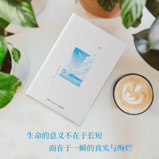 起风了 商品图4