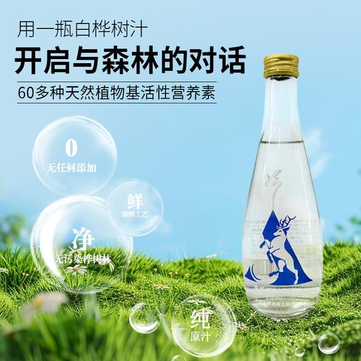 冷极白桦树汁 原汁原味 礼盒装 送货上门 甄选大兴安岭野生植物清甜 商品图1