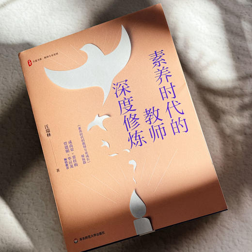 素养时代的教师深度修炼 大夏书系 教师专业发展 汪瑞林 商品图4