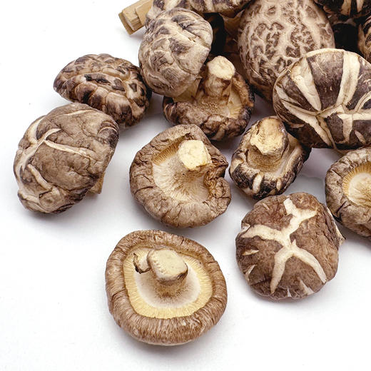 光雾良源花菇500g/袋 商品图3