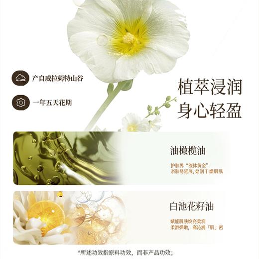 roopy润培 馥奇香氛植物精粹身体乳第三代250ml 日初青橙 柑橘调/ 檀香百合 木质调/无名玫瑰 花香调  轻盈润护 面护油养 亲肤透润 商品图9