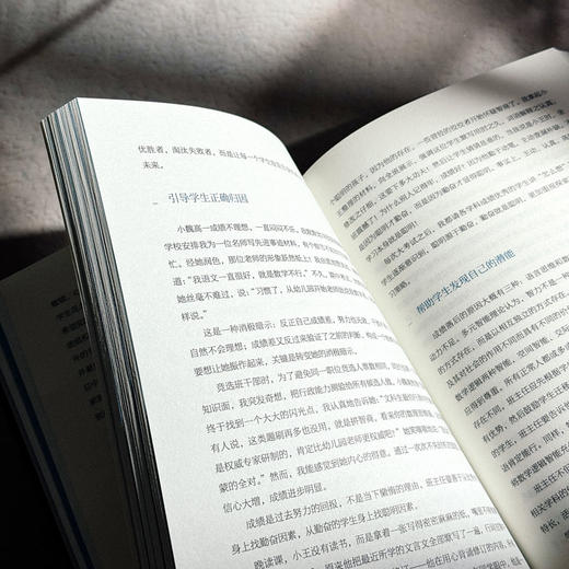 专业型班主任十讲 大夏书系 张志强 破解新手班主任痛点 商品图12