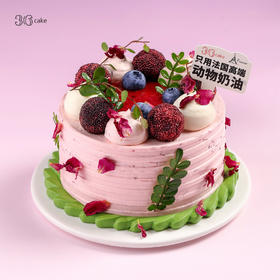 迷你多肉杨梅荔枝，可选4英寸