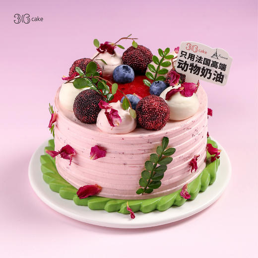 迷你多肉杨梅荔枝，可选4英寸 商品图0