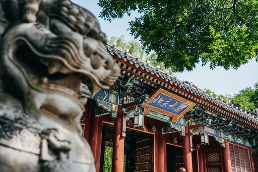 爱上北京——北京大学深度研学营！【走进燕园，对话未来】听学霸分享启迪，汲取知识的力量！ 商品图8