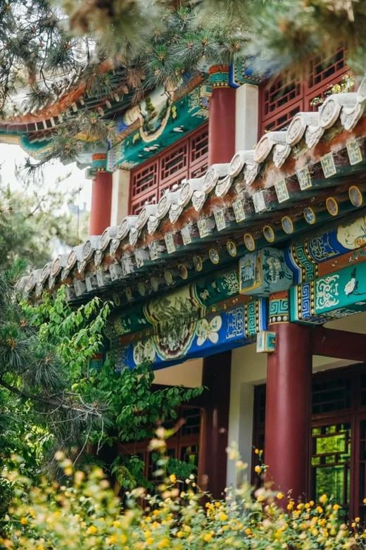 爱上北京——北京大学深度研学营！【走进燕园，对话未来】听学霸分享启迪，汲取知识的力量！ 商品图2