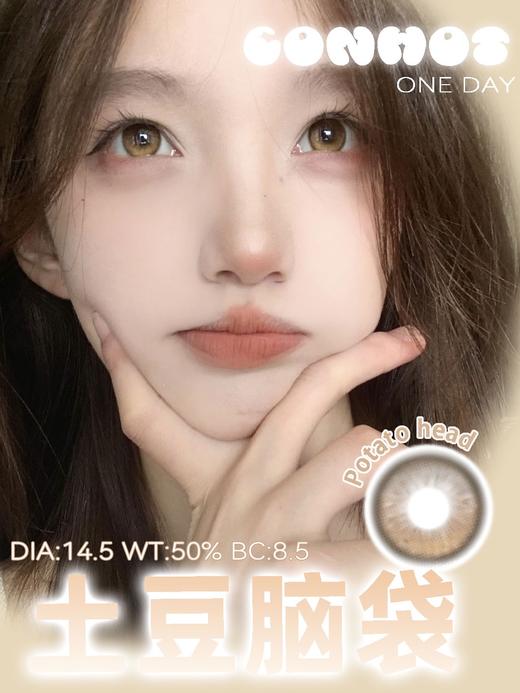 conhot日抛  一滴清泉/一捧湖水/土豆脑袋 14.2-14.5mm 日抛无售后！！ 棕蓝绿 商品图0