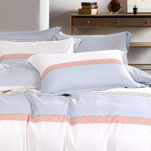 水星家纺全涤磨毛四件套DH雪映流光 商品图2