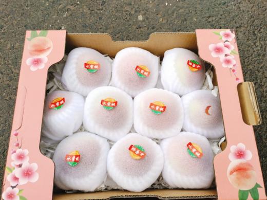 红梅水蜜桃礼盒 商品图0