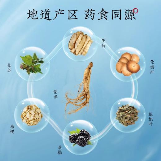 杜江南·玉竹党参化橘红膏180g （15支/礼盒） 秋冬关怀 草本滋养 精致好礼 商品图3