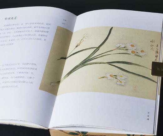 限量刷边本：《百花谱》，32开平装，日 幸田露伴等著，九州出版社2025年初版一刷，298页，售价78元。 商品图7