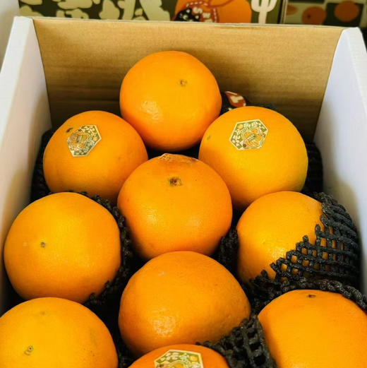 【阳光蜂蜜橙】一切向口感看齐，颗颗爆甜，价格劲爆，多汁橙子味浓郁～维C搭档！ 商品图1