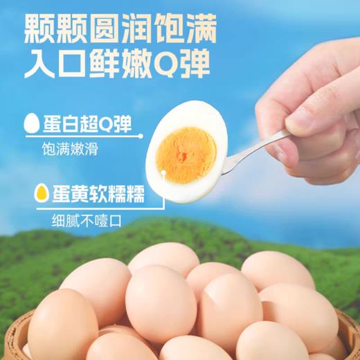 俩老头【清水鸡蛋】高蛋白零碳水控糖健身必备 商品图2