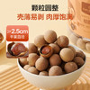 1号会员店桂圆干1kg龙眼干单果大于等于25mm核小肉厚清甜不腻 /粮油调味 /南北干货 /果茎食补干货 商品缩略图5