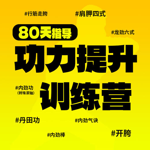 【功力提升训练营】——8大核心功法，80天专业指导 商品图0