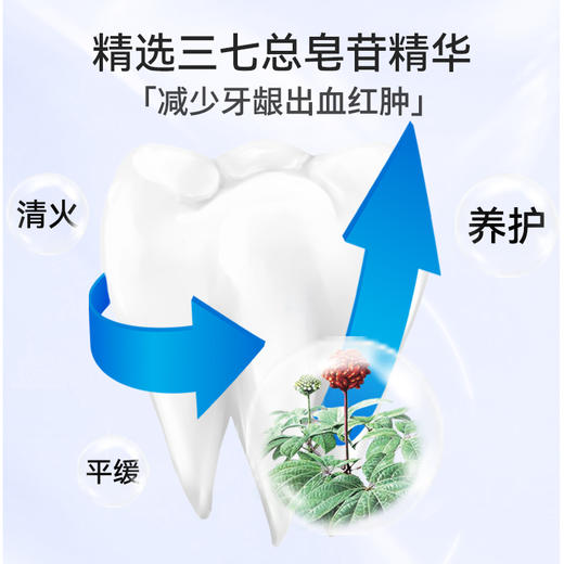 云南三七 专效清火消止牙膏60g*3只 商品图1