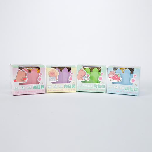 纪念日百货卡皮巴拉水果花卉种植盆栽161895141 商品图1