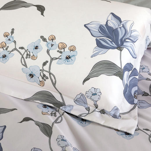 水星家纺抗菌磨毛四件套-晚风微 商品图3