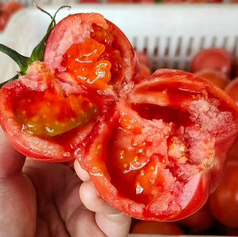 【顺丰快递】陕西泾阳沙瓤普罗旺斯西红柿3-4.5斤（新农家番茄自然熟）小时候的味道 商品图0