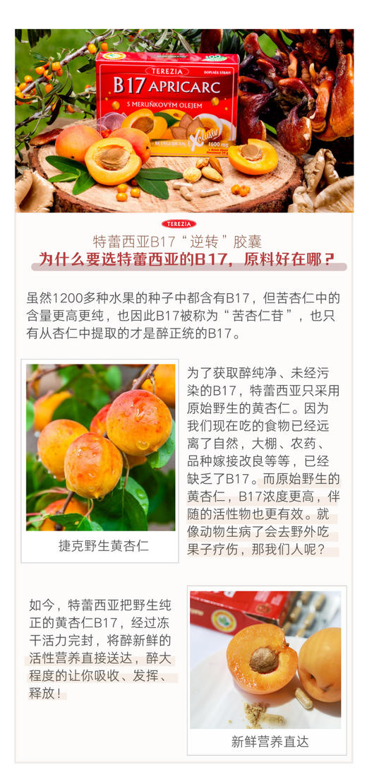 捷克特蕾西亚免疫4重奏 B17杏仁灵芝胶囊60粒！加强抵抗力术后补充能量防大疾 商品图5