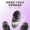【杞里香黑桑葚干250g】头茬桑葚干，甄选桑葚干 原果烘干 果大饱满 醇香浓郁 自然清甜 泡茶水泡酒 可搭配玫瑰枸杞红枣 免洗即食桑葚 商品缩略图9