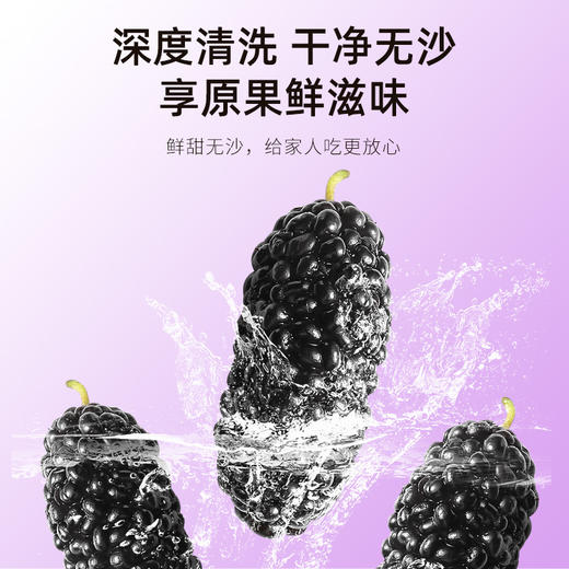 【杞里香黑桑葚干250g】头茬桑葚干，甄选桑葚干 原果烘干 果大饱满 醇香浓郁 自然清甜 泡茶水泡酒 可搭配玫瑰枸杞红枣 免洗即食桑葚 商品图9