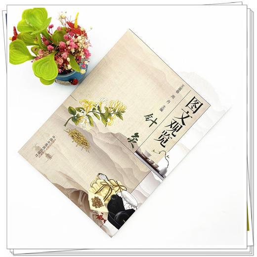 图文观览（针灸）王富春 周丹 主编 中医临床 针灸学 适用中医针灸临床工作者 以及喜爱中医针灸的读者参考 中国中医药出版社  商品图2