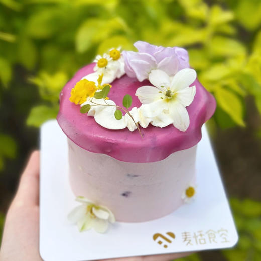 多巴胺提子（多肉葡萄）约12点做好 商品图3