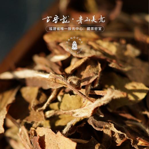 方守龙老茶仓2013年春夏秋冬白牡丹福鼎白茶[官方旗舰店正品直供] 商品图3