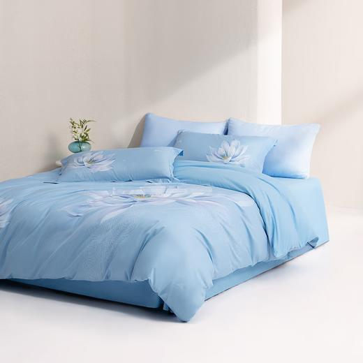 水星家纺抗菌磨毛四件套-亭台初夏 商品图2