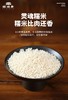 稻廷斋—嘉兴口味大肉粽经典款礼盒套餐 商品缩略图2
