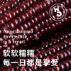 金沃瑞丰精品有机 黑糯玉米棒260g*8支＞4.5斤  新鲜甜粘黏 早餐 /粮油调味 /杂粮 /谷米类 商品缩略图8