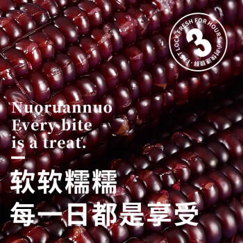 金沃瑞丰精品有机 黑糯玉米棒260g*8支＞4.5斤  新鲜甜粘黏 早餐 /粮油调味 /杂粮 /谷米类 商品图8