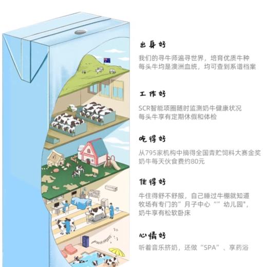 认养一头牛 纯牛奶 250ml*12盒/箱 商品图1