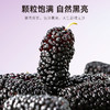 【杞里香黑桑葚干250g】头茬桑葚干，甄选桑葚干 原果烘干 果大饱满 醇香浓郁 自然清甜 泡茶水泡酒 可搭配玫瑰枸杞红枣 免洗即食桑葚 商品缩略图5
