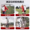 德力西电气电动喷雾器农用背负式打药机农药喷洒器打农药喷水雾器 商品缩略图2