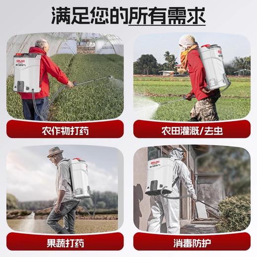 德力西电气电动喷雾器农用背负式打药机农药喷洒器打农药喷水雾器 商品图2