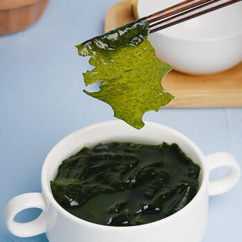 绿帝 裙带菜90g 海带菜 凉拌煲汤 海产干货  /粮油调味 /南北干货 /鱼虾贝藻类干货 商品图0